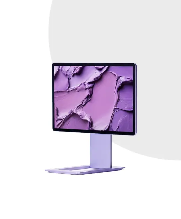 Portable Monitor