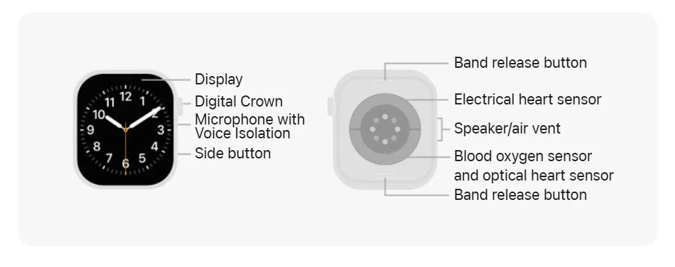 Hardware and Buttons - Apple Watch Series 11 Aluminum Case and Titanium case